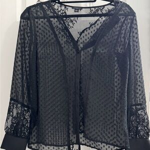 Ann Taylor Sheer Top XS fit up to a S